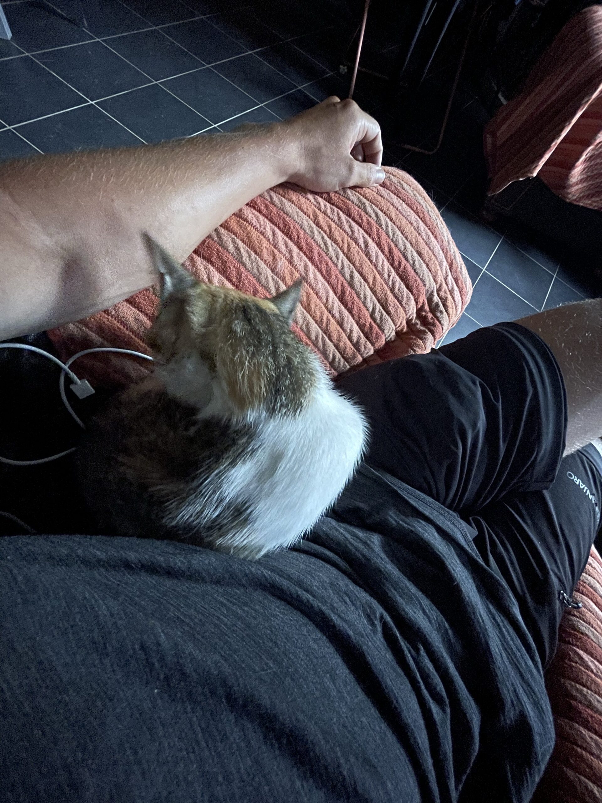 Abbildung zu Tag 65: Pause im Dauerregen…